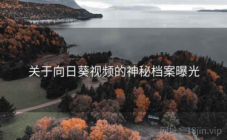 关于向日葵视频的神秘档案曝光