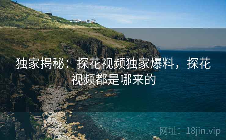 独家揭秘:探花视频独家爆料,探花视频都是哪来的