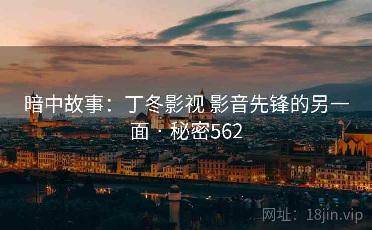 暗中故事:丁冬影视 影音先锋的另一面 · 秘密562