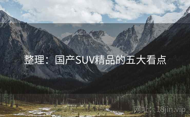 整理:国产SUV精品的五大看点