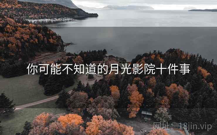 你可能不知道的月光影院十件事