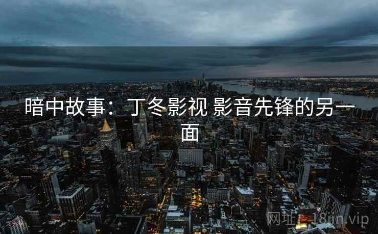 暗中故事:丁冬影视 影音先锋的另一面