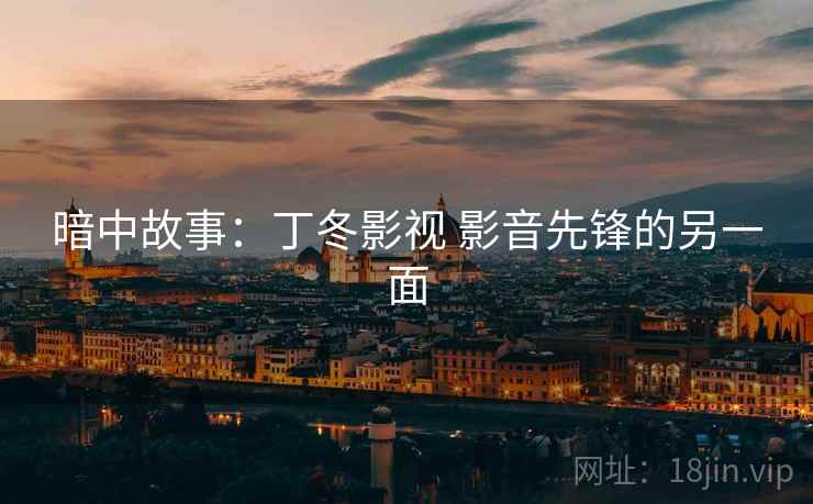 暗中故事:丁冬影视 影音先锋的另一面