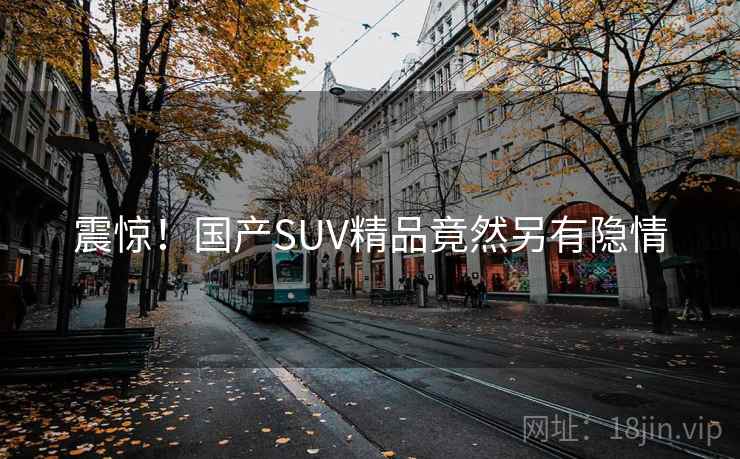 震惊!国产SUV精品竟然另有隐情